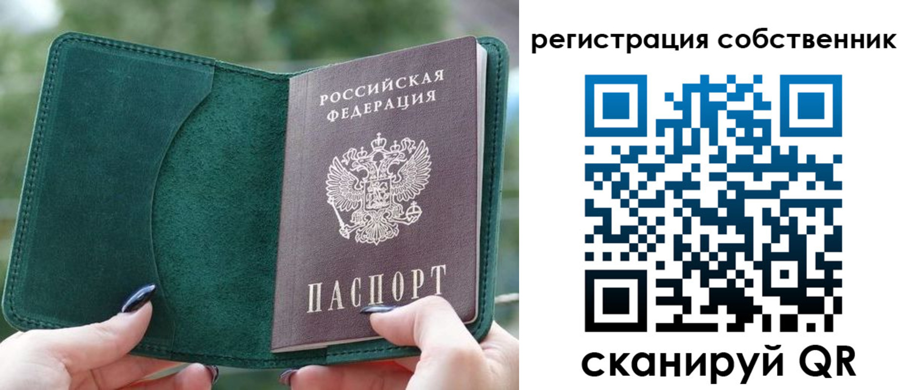 регистрация для школы в Курганской области